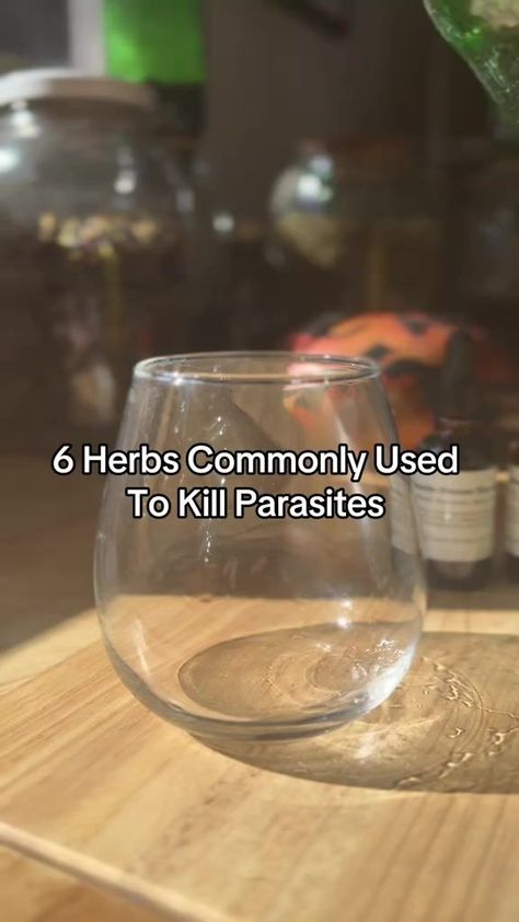 3K views · 109 reactions | 6 Herbs Commonly Used To Kill Parasites🪱🐛You can find our “Parasite Cleanse Tincture & Bundle” available on our website. We also make each herb mentioned in this video as a simple tincture. #herbalism #parasitecleanse #holistichealth #wellnesstips #detoxification #medicinalherbs #herbalmedicine #healyourself | Alia's Herbals Parasite Cleanse Tincture, Herbal Parasite Cleanse, Tinctures Recipes, Saved Videos, Parasite Cleanse, Tea Cleanse, Cleanse Recipes, Natural Therapy, Healing Herbs