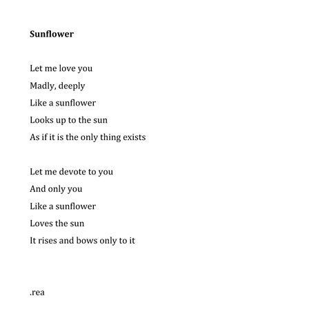 Sunflower Meaning In Love, Sunflowers Meaning, Sunflower Poetry, Sunflower Meaning, Brand Shapes, Sunflower Poem, Johnny Sawyer, Sunshine Character, Sunflower Facts