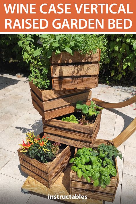 Use old wine crates to make a vertical raised garden bed. Great for vegetables and flowers. #Instructables #outdoors #gardening #backyard #patio #terrace #reuse #upcycle Wooden Crates Garden, Vertical Garden Flowers, Diy Garden Landscaping, Patio Walkway, Garden Wall Designs, Vertical Garden Wall, Blue Plants, Wine Crate, Variegated Plants