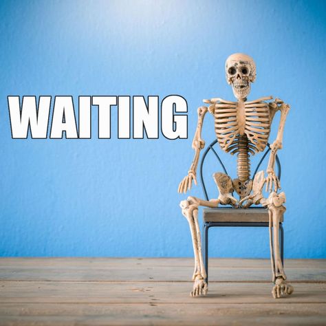 Patiently Waiting Meme Funny, Skeleton Waiting, Waiting Meme, Thank You For Dinner, Math Photos, Skeleton Meme, Silly Skeleton, Funny Skeleton, Bored At Work