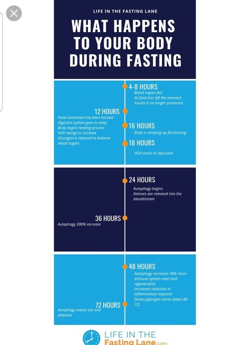 Fasting timeline Fitness Results Timeline, Intermittent Fasting Timeline, Exercise Results Timeline, Stages Of Fasting By Hour, Workout Results Timeline, 4 Day Fast, Fasting Timeline, Liquid Fasting, Autophagy Fasting