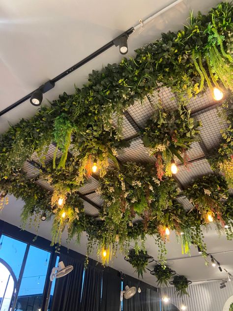 Ceiling Plants Hanging Restaurant, Ceiling Plant Decor, Ceiling Ivy Decor, Flower Ceiling Restaurant, Green Ceiling Plants, Plant Ceiling Decor, Jungle Ceiling, Plants Hanging From Ceiling, Moss Ceiling