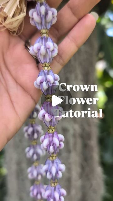 Ho'olei MAUI on Instagram: "If you have Crown Flower, mini scissors and lots of patience you're good to go! 

I saw this technique on a Thai Flower Garland reel, but you know I had to see the lei version! What should we call this one?" Crown Flower Lei, Yarn Lei, Mini Scissors, Lei Making, Thai Flower, Purple Crown, Flower Lei, Hula Dancers, Crown Flower