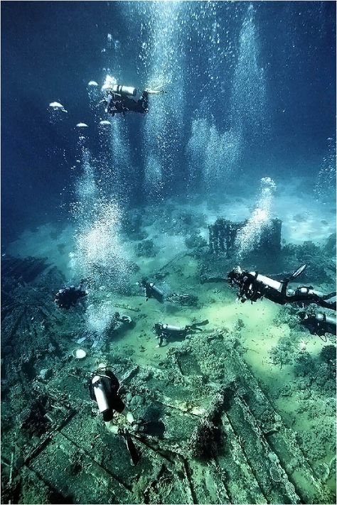 Photograph The remains of the Yolanda wreck by Sergiy Glushchenko on 500px Marine Archaeology, شرم الشيخ, Diver Down, Scuba Diving Photography, Ship Wrecks, Sunken City, Underwater Pictures, Underwater Diving, Deep Sea Diving