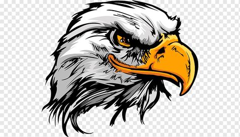 Motocykle Harley Davidson, Eagle Head Tattoo, Eagle Cartoon, Bald Eagle Art, Eagle Vector, Eagle Drawing, Eagle Images, Eagle Mascot, Eagle Pictures