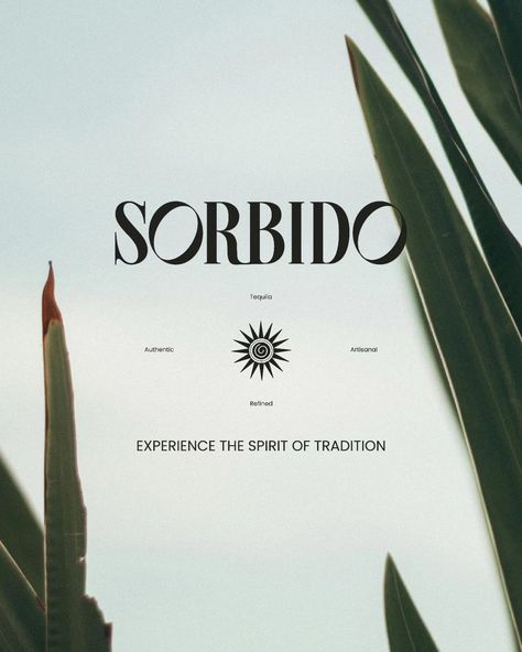 Sorbido Recently I've been loving these type of project Liquor label design. This is something I want to get better at and I can't wait to show you guys the label design of this!! I also love the theme and aesthetic of this brand brief! ✨️Also in love with the typography of the logo♥️ Need to organise my feed🥲 @briefclub thank you for this brand brief🫶 @wildemuse.studio Liquor Branding, Brand Brief, Liquor Label, Company Branding, I Can't Wait, Get Better, Label Design, The Label, Liquor