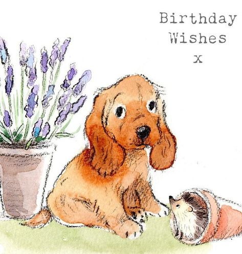 Shed Designs, Spaniel Art, Dog Birthday Card, Dog Greeting Cards, Beautiful Range, Granddaughter Birthday, 강아지 그림, Watercolor Greeting Cards, Brown Envelope