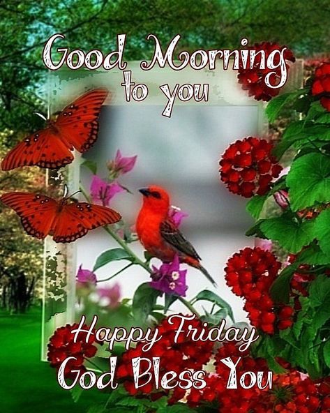 Happy Friday Pictures, Friday Good Morning, A Servants Heart, Servants Heart, Friday Morning Quotes, Week Blessings, Friday Pictures, Christmas Card Messages, Good Morning Today