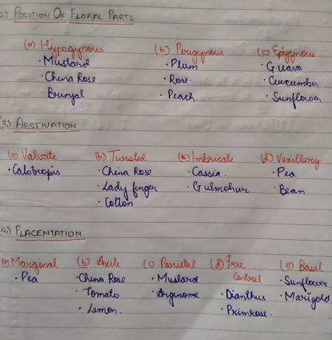 Morphology Of Flowering Plants Examples, Morphology Of Flowering Plants Notes For Neet, Anatomy Of Flowering Plants Notes, Morphology Of Flowering Plants Notes, Anatomy Of Flowering Plants, Morphology Of Flowering Plants, Neet 2025, Neet Study, Neet 2024