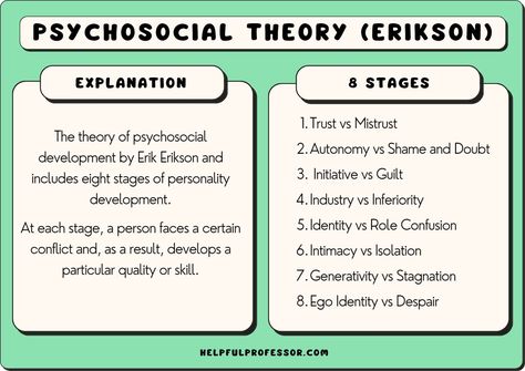 The theory of psychosocial development was invented by the famous American psychologist Erik Erikson and includes eight stages of personality development. At each stage, a person faces a certain conflict and, as a result, develops Erik Erikson Stages Human Development, Psychosocial Theory, Freud Psychoanalytic Theory, Erikson Stages, Stages Of Psychosocial Development, Development Psychology, Trait Theory, Child Development Psychology, Psychosocial Development