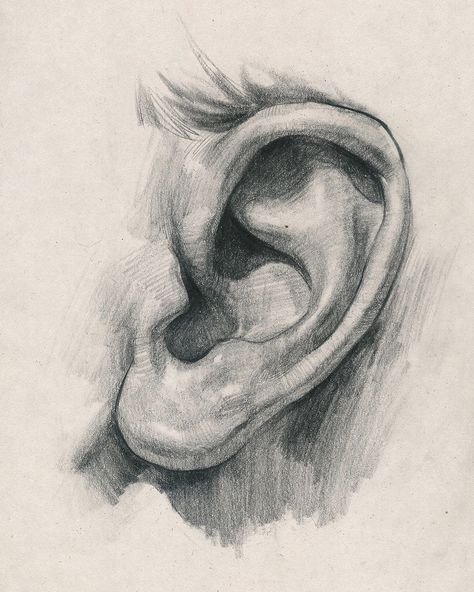 #portrait #drawing #tutorial How To Draw Ears, Desen Realist, Ear Art, Výtvarné Reference, Anatomy Sketches, 인물 드로잉, Anatomy Drawing, Portrait Sketches, Arte Sketchbook