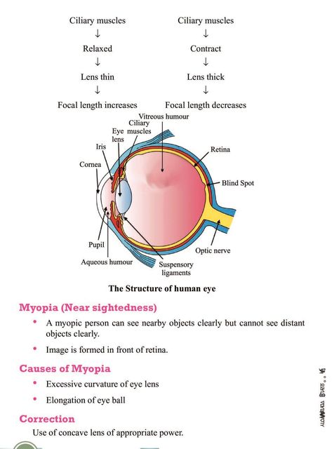 Class 10 Science Notes, Class 10 Notes, Travel Brochure Design, Class 10 Science, Basic Anatomy, Notes Life, Physics Lessons, Biology Classroom, Physics Notes