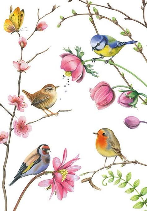 Bird Painting Acrylic, Illustration Kunst, Relaxing Art, Girly Wall Art, Watercolor Flower Art, Bird Wallpaper, Birds And Flowers, Bird Illustration, Watercolor Bird