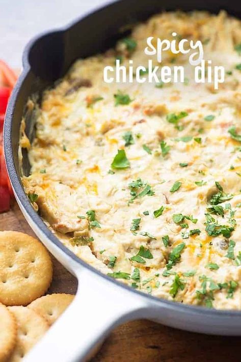 Spicy Chicken Dip Party Horderves, Spicy Chicken Dip, Hot Dips, Savory Dips, Olive Dip, Chicken Dip Recipe, Pu Pu, Chicken Dip, Chicken Dips