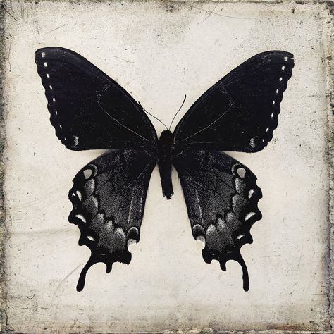 "Modern gothic black butterfly downloadable photography printable. This black butterfly on a grunge textured background (from my personal butterfly collection) will work with gothic home decor, the modern victorian interior design trend, or homes with a neutral palette. Copyright Chaos & Wonder Design. All files are for personal use only. For this printable wall art you will receive downloadable files to choose from (no physical item will be shipped): *1 zip file containing 5\"x5\" and 8\"x8 Gothic Black Aesthetic, 2023 Wall Texture Trends, Gothic Butterfly Wallpaper, Butterfly Black Tattoo, Black Butterfly Printable, Black Butterfly Drawing, Black Butterfly Painting, Grunge Wall Prints, Gothic Butterfly Tattoo