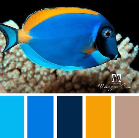 Pantone Azul, Turquoise Color Scheme, Paint Color Combos, Color Schemes Colour Palettes, Paint Color Schemes, Paint Color Palettes, Sky Color, Color Palate, Color Palette Design