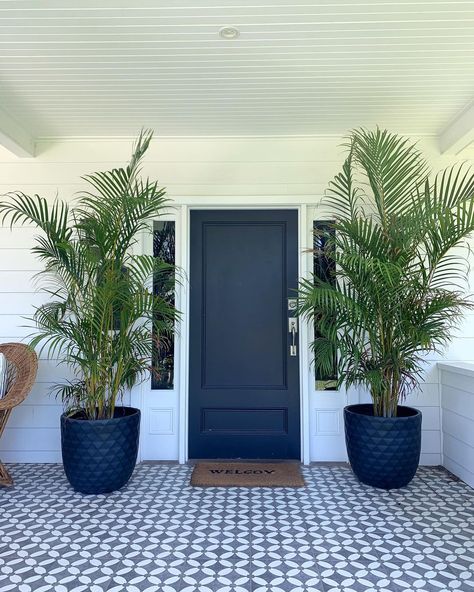 Entrance Plants Outdoor Front Doors, Entryway Plants Outdoor, Little Cottage House, House Frontage, Property Staging, Planting Layout, Front Door Plants, Facade Ideas, Front Verandah