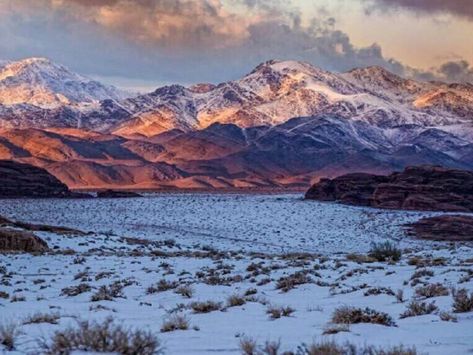 Third snowstorm covers in white the desert of Saudi Arabia in less than 2 months pictures - Strange Sounds Snowy Desert, Snow In The Desert, Desert Snow, Strange Weather, Arabian Peninsula, Snow Storm, North Africa, 2 Months, The Desert