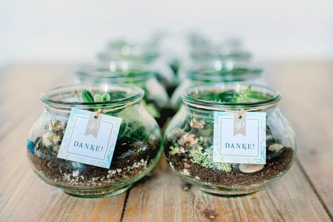 Terrarium favors Terrarium Wedding Favor, Terrarium Party, Terraria Party, Miniature Greenhouse, Terrarium Wedding, Plant Party, Succulent Favors, Mini Terrarium, Garden Party Birthday