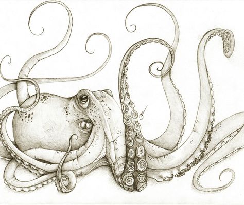 Octopus Art - Octopus Drawing, Octopus Tattoo Design, Octopus Tattoos, Theme Tattoo, Octopus Tattoo, Octopus Art, Arte Sketchbook, Arte Animal, Kraken