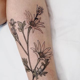 Bit of blotchy red but Flannel flowers for Simone x Flannel Flower Tattoo, Australian Flower Tattoo, Native Australian Flowers Tattoo, Ivy Tattoo, Kid Name Tattoo, Bone Tattoo, Feminine Tattoo Sleeves, Australian Natives, Single Line Tattoo