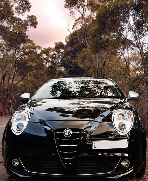 Alfa Romeo Aesthetic, Alpha Romeo Mito, Alfa Romeo Mito, Alfa Alfa, Dream Car, Car Collection, Maserati, Alfa Romeo, Land Cruiser