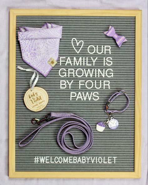 Puppy Birth Announcement, Welcome Puppy Announcement, Cat Adoption Announcement, Getting A Puppy Announcement, Puppy Reveal Ideas, Puppy Announcement Ideas, New Puppy Announcement, Dog Announcement, Puppy Announcement