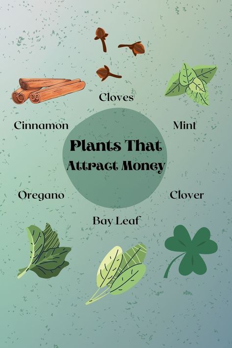 Herbs For Luck And Money, Spell For Luck And Money, Herbs That Attract Money, Herbs For Prosperity Money, Money Attracting Herbs, Prosperity And Abundance Spell Jar, Flowers For Abundance, Herbs For Money Witchcraft, Good Luck Herbs Witchcraft