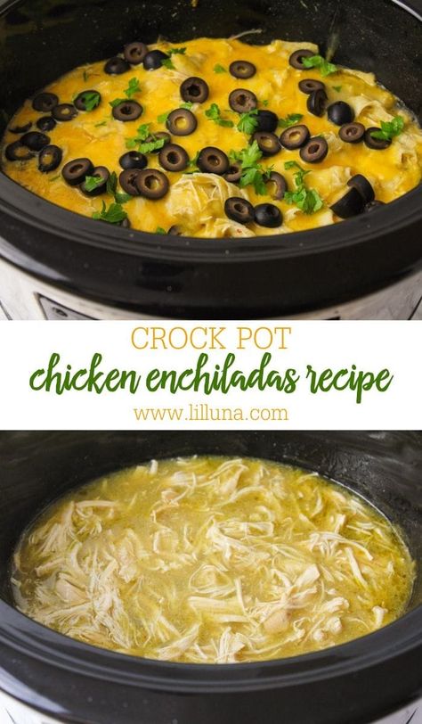 Hot and cheesy crock pot chicken enchiladas are perfect to feed your family any day of the week! Just let the crock pot do the work. #chickenenchiladas #enchiladas #crockpotchicken #slowcooker #chicken Chicken Enchiladas With Green Sauce Crockpot, Enchiladas Green Sauce, Chicken Enchiladas Crock Pot, Chicken Enchiladas Green Sauce, Crock Pot Chicken Enchiladas, Enchiladas Green, Crockpot Chicken Enchiladas, Green Enchilada Sauce, Chicken Crockpot