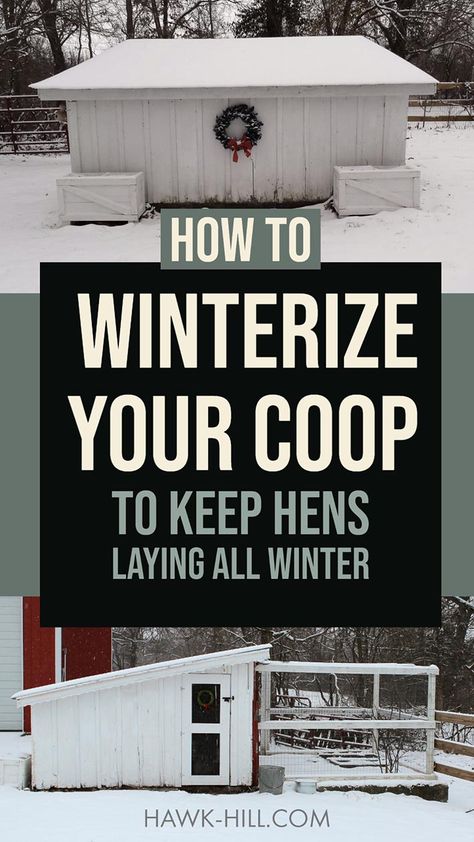 Chicken Coop Cold Climate, Winterizing Chicken Run, Chicken Coop Insulation Ideas, Winterize Chicken Coop, Chicken Husbandry, Chicken Coop Winter, Hoop Coop, Homestead Plans, Easy Diy Chicken Coop