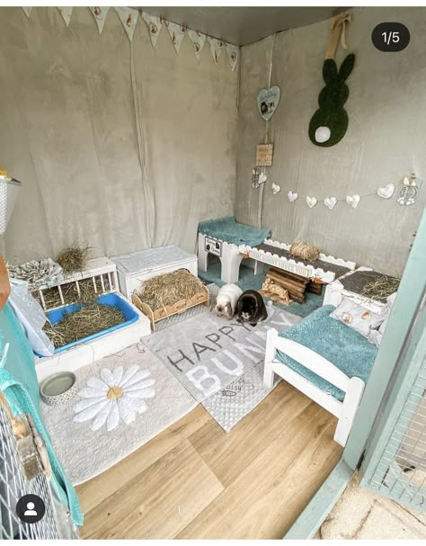 Rabbit Cage Setup Ideas, Bunny Shed Ideas, Bunny House Ideas, Rabbit Room Ideas, Rabbit Room Ideas Indoor, Bunny Enclosure Indoor, Indoor Bunny Setup, Bunny Room Indoor Rabbit, Bunny Room Ideas