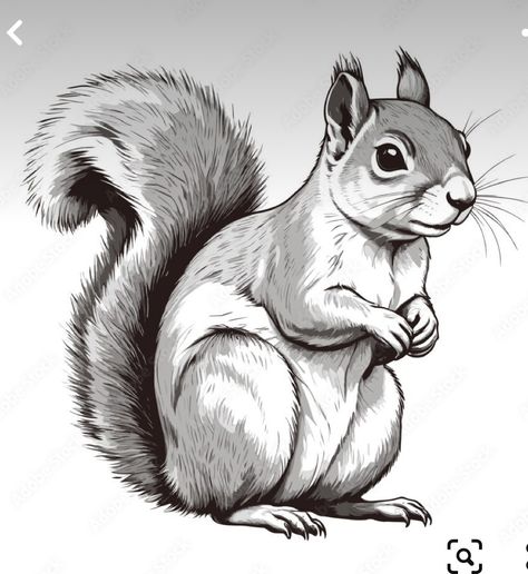 Bear And Squirrel Drawing, Flying Squirrel Character Design, Drawings Of Squirrels, Grafiti Alfabet, Squirrel Drawings, Fox Drawing Sketches, Squirrel Vector, Duck Sketch, Gouache Ideas