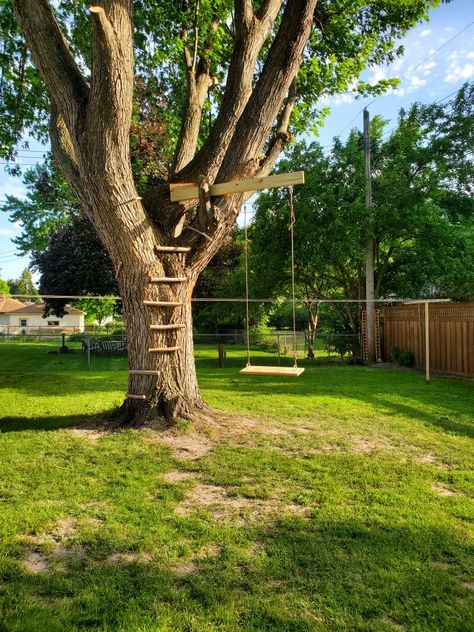 Tree Swing Ideas, Tree Swings, Basic Tree House, Tree Fort With Zip Line, Treehouse Pulley System, Tree Fort Pulley System, Swings Between Two Trees, Backyard Climbing Structure Kids, Backyard Trees