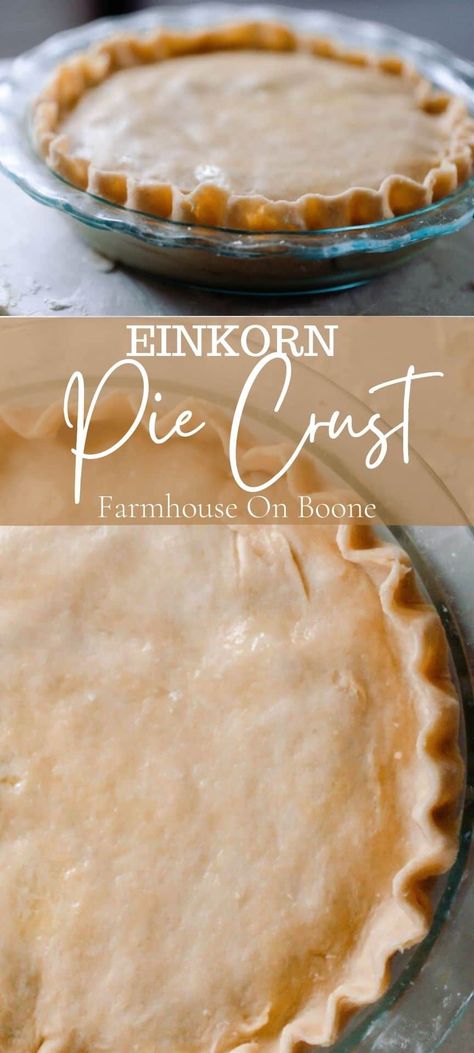 Einkorn Carrot Cake Recipe, Vegan Einkorn Recipes, Einkorn Pie Crust Recipe, Einkorn Apple Pie, Einkorn Desserts, Einkorn Pie Crust, Einkorn Sourdough, Ancient Grains Recipes, Einkorn Bread