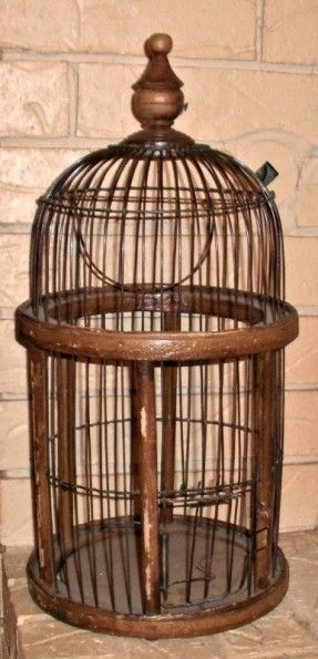 Old Bird Cage, Bird Cage Ideas, Home Blinds, Wooden Bird Cage, Bird Tattoo Ribs, Bird Nest Craft, Cage Decor, Bird Cage Centerpiece, Concrete Bird Bath