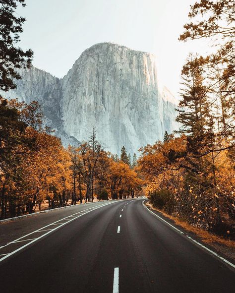 Trees Lights, Nature Autumn, Have Inspiration, California National Parks, Beautiful Places In The World, Yosemite National, Yosemite National Park, Most Beautiful Places, Beautiful Landscapes