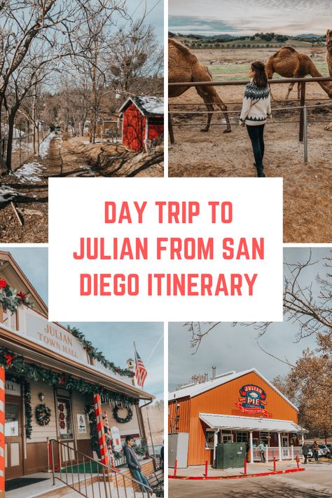 Day Trip to Julian from San Diego Itinerary. #sandiego #julian #julianca #daytrip #california #southerncalifornia Julian San Diego California, Julian California Fall, San Diego Itinerary, King Julian, Julian California, California Coast Road Trip, Borrego Springs, California Honeymoon, Stretching For Beginners