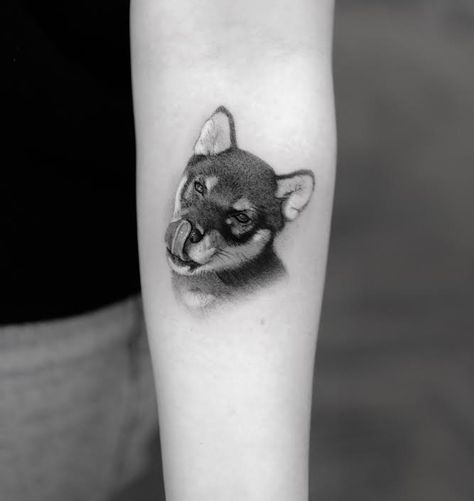 Black and Tan Shiba Inu Tattoo Shiba Inu Tattoo, Black And Tan Shiba, Tattoo Inspo, Shiba Inu, Black And Tan, Cool Tattoos, Tatting, Tattoo Ideas, Tattoos