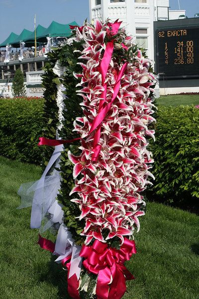 Kentucky Derby Tea Party, Derby Dresses, Derby Tea Party, Oaks Day, Kentucky Oaks, Derby Time, Equestrian Dressage, Preakness Stakes, Talk Derby To Me