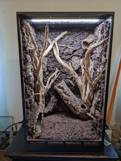 In Situ Alto Build - First Vivarium | Dendroboard Diy Vivarium, Gecko Vivarium, Diy Reptile, Gecko Terrarium, Reptile Room, Reptile Enclosure, Crested Gecko, Aquarium Filter, Leopard Gecko