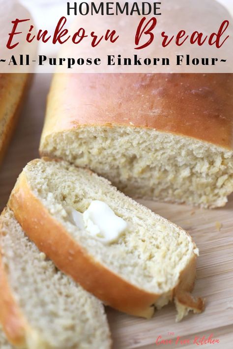 Einkorn White Bread is fluffy, tender, and loaded with flavor.  It's a recipe even the inexperienced cook can tackle.  This White Einkorn bread recipe has step by step instructions and is made with All-Purpose Einkorn Flour. #einkornflour #whitebread #allpurposeeinkornflour #thecarefreekitchen Ancient Grains Recipes, Einkorn Bread, Einkorn Recipes, Einkorn Flour, White Bread Recipe, Wheat Recipes, Best Food Ever, Flour Recipes, Bread Recipes Homemade