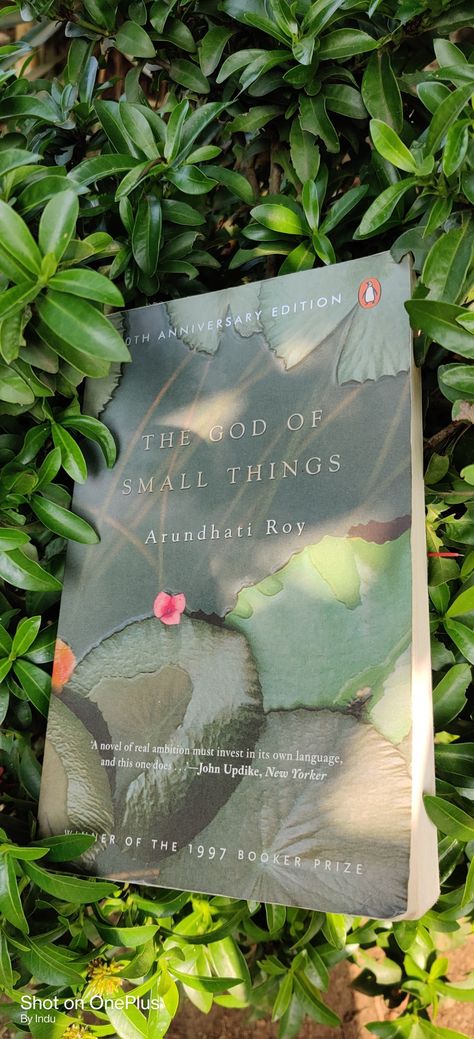 The God Of Small Things, Small Things, New Yorker, Book Cover, Books, Art