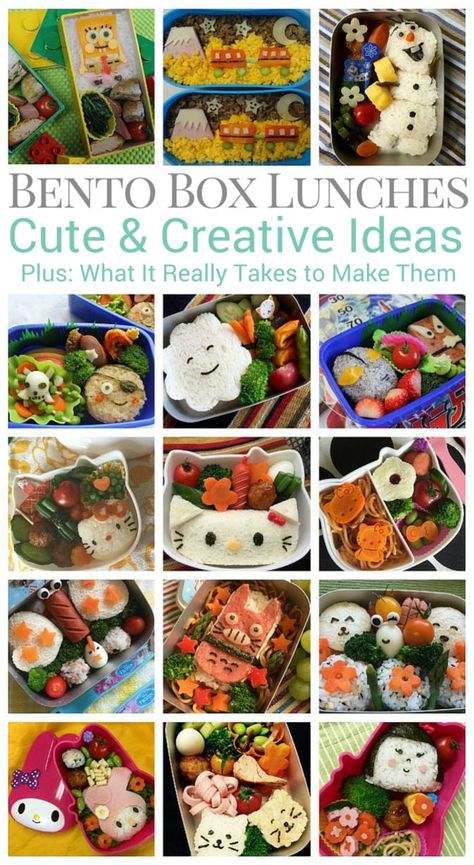 Bento Box Ideas, Bento Box Lunches, Bento Box Lunch For Kids, Kindergarten Lunch, Bento Box Recipes, Bento Kids, Preschool Lunch, Kids Bento, Cute Bento Boxes