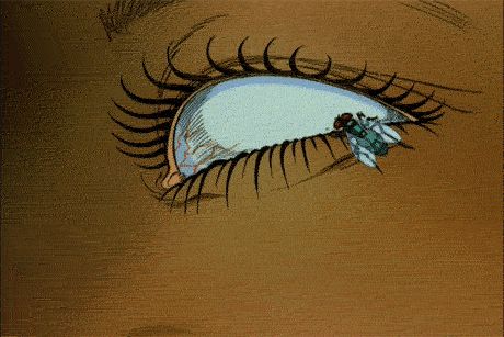 Aeon Flux - Album on Imgur Brown Aesthetic Gif, Manga Gif, Eyes Gif, ポップアート ポスター, Aeon Flux, Venus Flytrap, Gif Images, Anime Gifs, Creepy Art