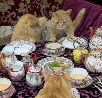 Animal Tea Party, Tea Party Aesthetic, Cat Bday, Cat Tea Party, The Muses, Cat Vs Dog, Painting References, Wedding China, Blueberry Cobbler