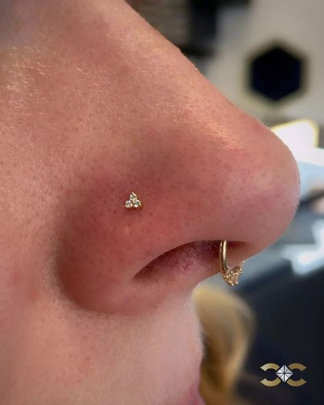 ✨Comment 'LINK' to receive the product links and jewellery prices in your DMs✨ Classic yet stunning! Nostril Piercing with our 18k yellow gold trinity stud adds a touch of elegance to any look. ✨💛 #YellowGoldJewelry #NosePiercing Find Ireland's largest collection of Fine Jewellery in-store at 7 D'Olier Street or online at our webstore, link in bio! Sun Nose Stud, Nostril Piercing Stud, Piercing Nostril, Curated Ears, Nostril Piercing, Edgy Jewelry, Jewelry Tattoo, Yellow Gold Jewelry, Nose Stud