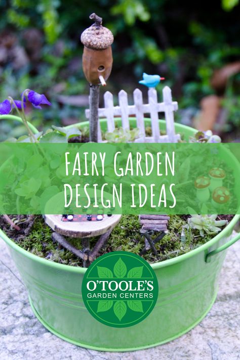 So, you’ve spent hours and hours on Pintrest oogling a million adorable fairy gardens. But you’re not crafty enough to make something like that, right? Wrong! All you need is a little help getting started. Here are five easy design tips to help kick start your creativity. Read on O’Toole’s Garden Centers at the link below! #gardening #gardeningtips #greenthumb #plantlife #gardentips #gardenadvice Easy Fairy Garden, Make A Fairy Garden, Whimsical Fairy Garden, Make A Fairy, Fairy Garden Containers, Indoor Fairy Gardens, Fairy Garden Plants, Container Ideas, Fairy Garden Designs