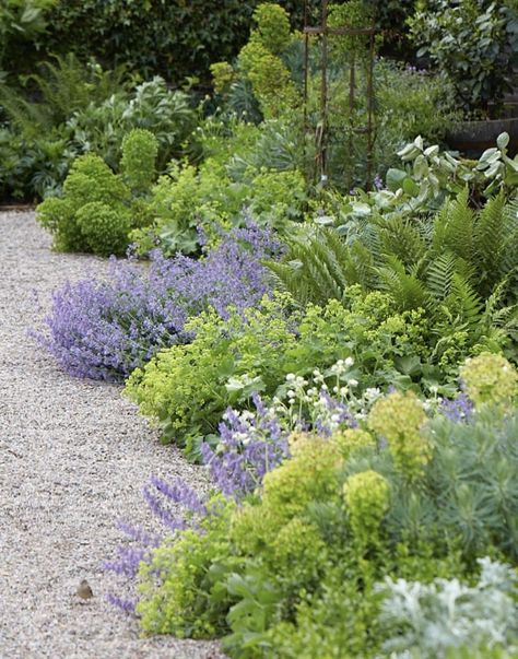 Mediterranean Garden Design, Gravel Landscaping, Front Garden Landscape, Gravel Path, Gravel Garden, Garden Shrubs, Walled Garden, Have Inspiration, Mediterranean Garden