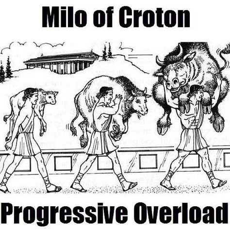 Progressive overload is one of the most basic concepts involved in the process of training and developing athletes. It's the difference between training and Ancient Olympic Games, Firefighter Workout, Progressive Overload, Exercise Physiology, Strength Training Program, Endurance Training, Team Training, Strong Muscles, Lift And Carry