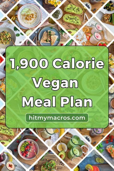 Pin graphic showcasing a variety of enticing vegan dishes including colorful salads, legume-based meals, and fruit smoothies, with prominent text overlay stating "1,900 Calorie Vegan Meal Plan." The graphic emphasizes the plan's focus on balanced, high-protein, low-calorie vegan meals for healthy weight loss. Low Calorie Vegan Meals, 1600 Calorie Meal Plan, High Protein Diet Plan, High Protein Meal Plan, Vegan Meal Plan, Protein Meal Plan, 200 Calorie, Low Calorie Vegan, 100 Calorie